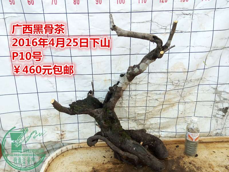 QQͼƬ20160425203859_.jpg