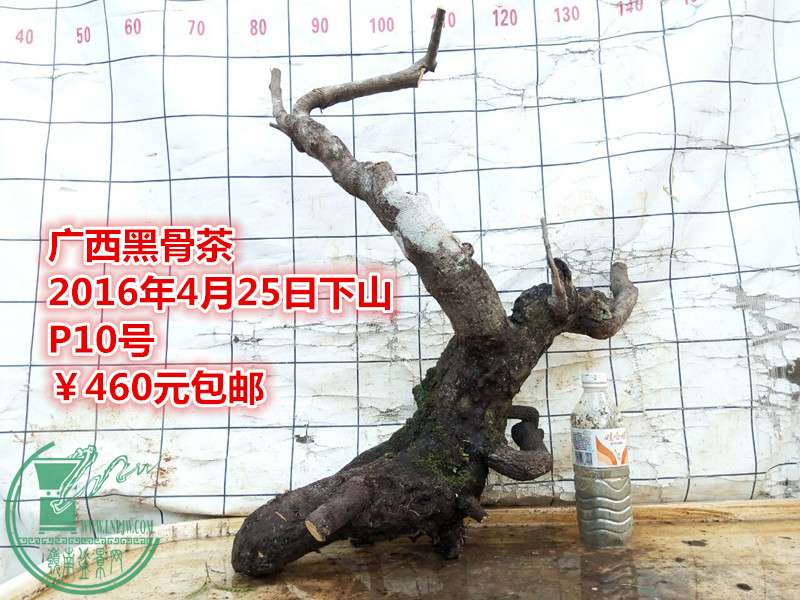QQͼƬ20160425203905_.jpg