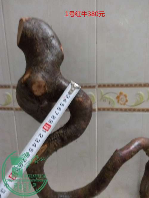 P60425-204800_.jpg