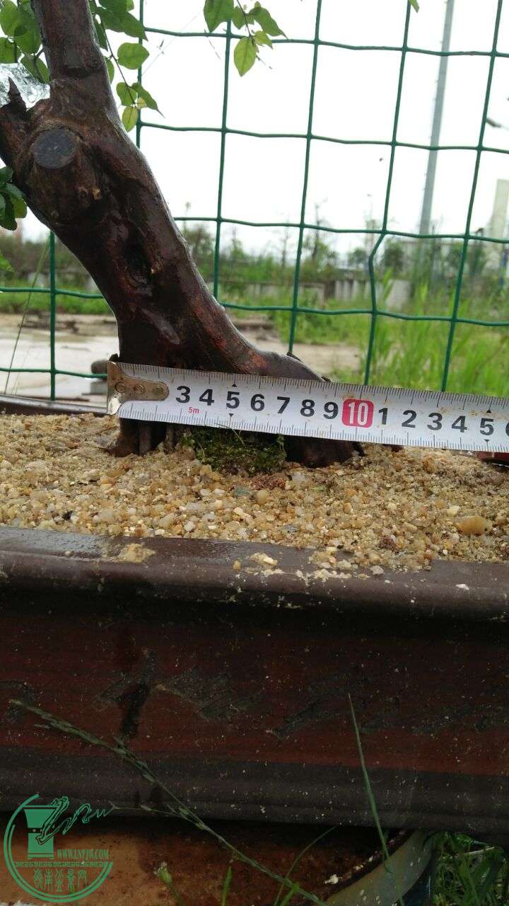 QQͼƬ20160425223015.jpg