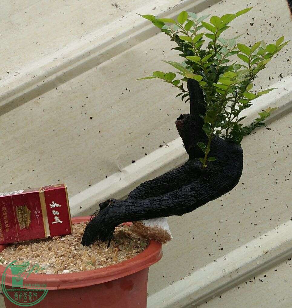QQͼƬ20160425222931.jpg