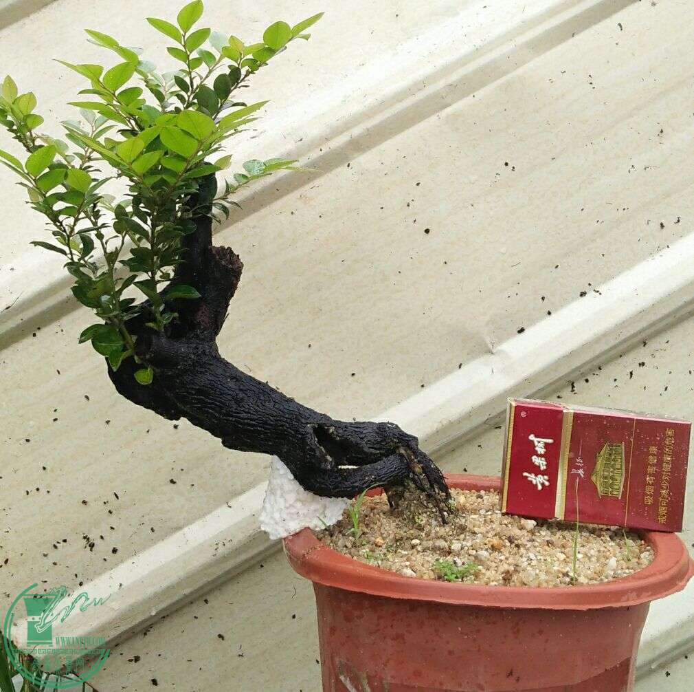 QQͼƬ20160425222918.jpg