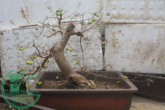 Ƭ20131026ۺ 1280.jpg
