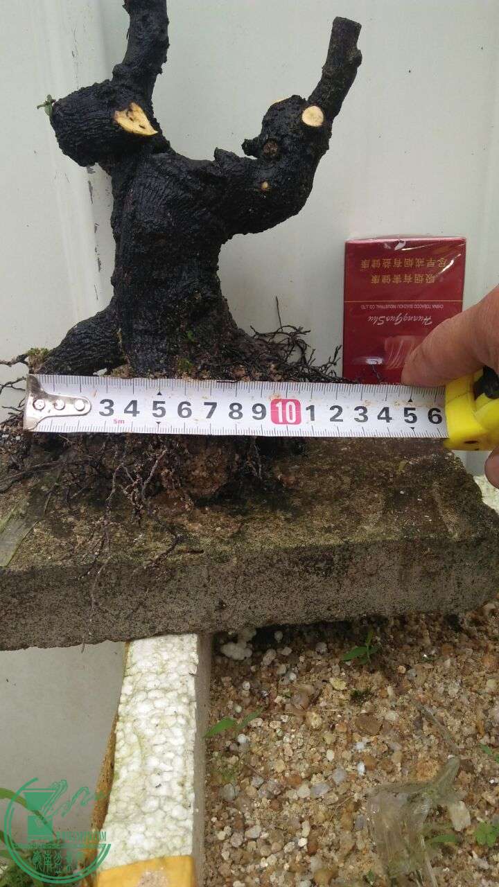 QQͼƬ20160426171316.jpg