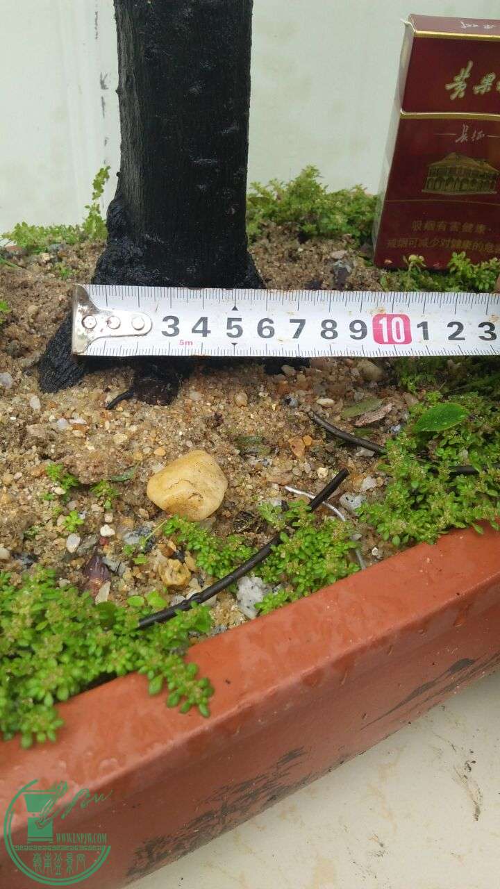 QQͼƬ20160426171300.jpg