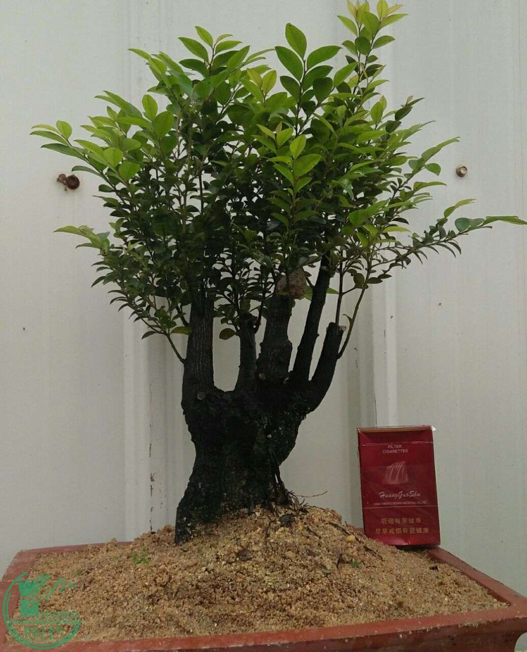 QQͼƬ20160426171244.jpg