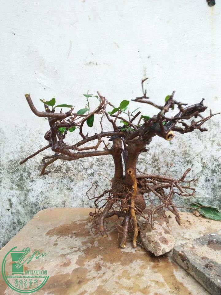 QQͼƬ20160426201317.jpg