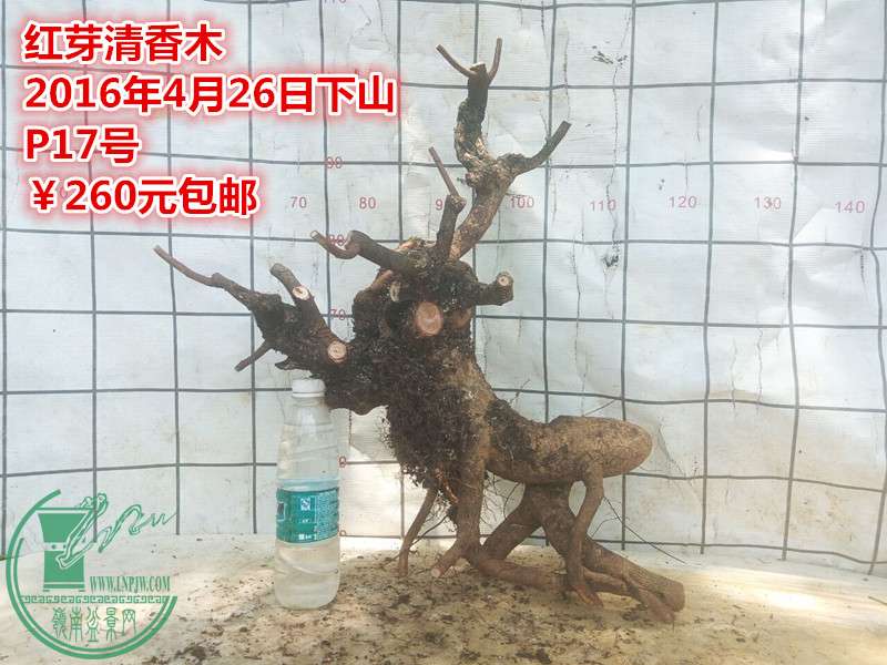 QQͼƬ20160426204729_.jpg