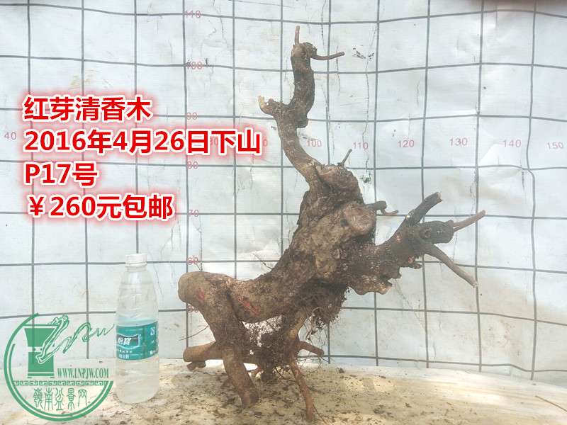 QQͼƬ20160426204736_.jpg