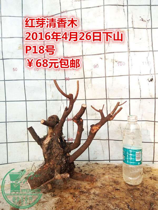 QQͼƬ20160426204746_.jpg