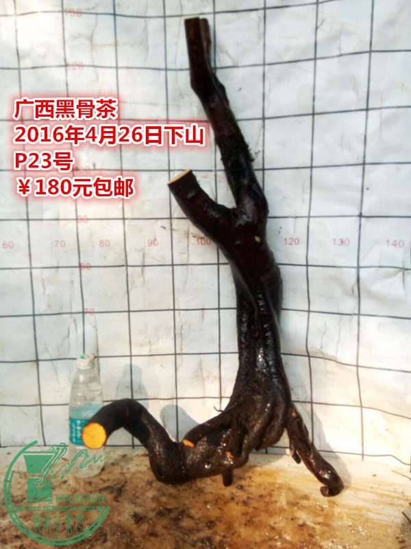 QQͼƬ20160426205035_.jpg