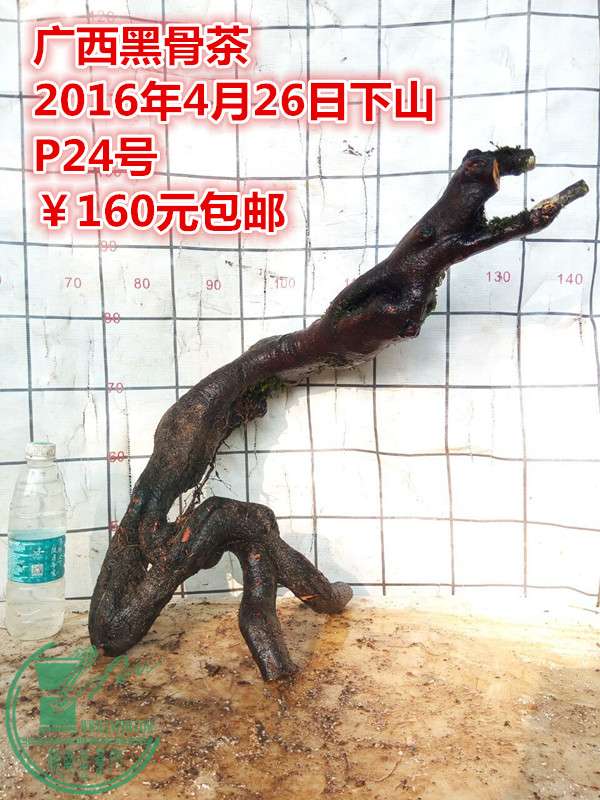 QQͼƬ20160426205106_.jpg
