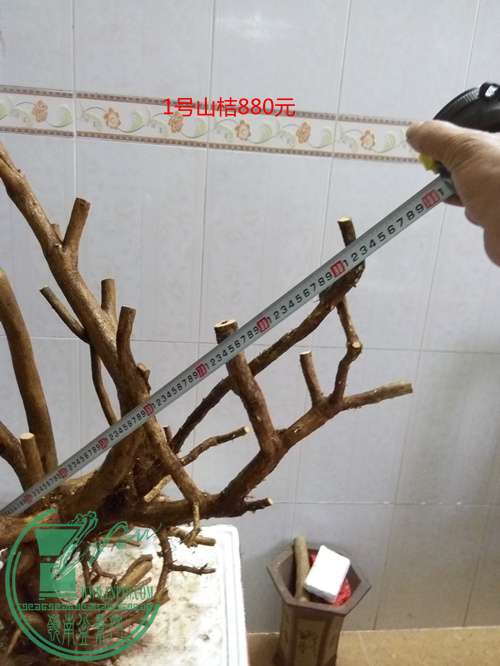 P60427-183953_.jpg
