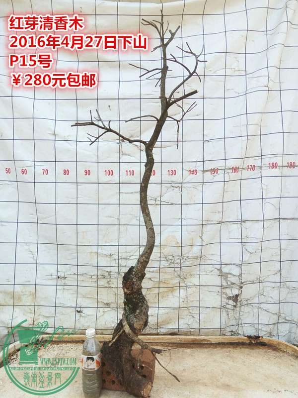 QQͼƬ20160427210311_.jpg