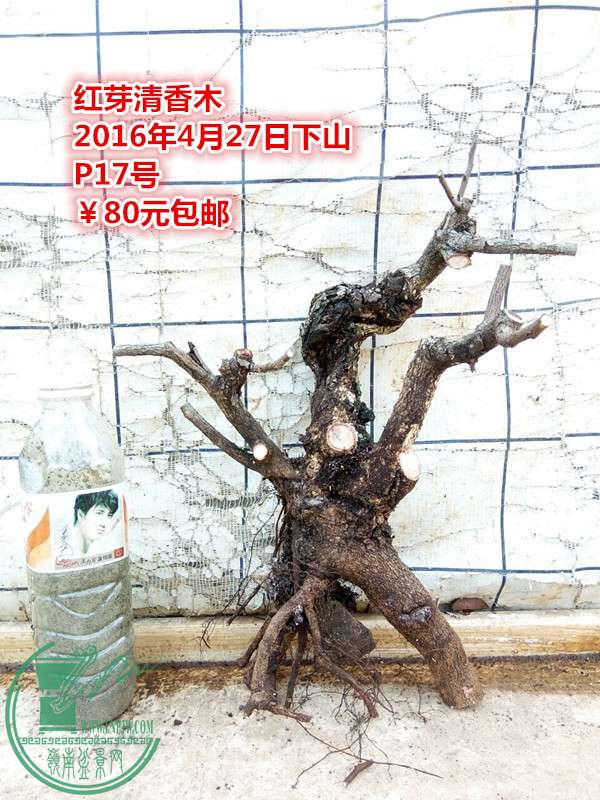 QQͼƬ20160427210341_.jpg