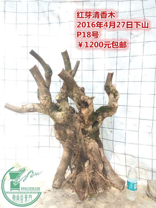 QQͼƬ20160427210421_.jpg