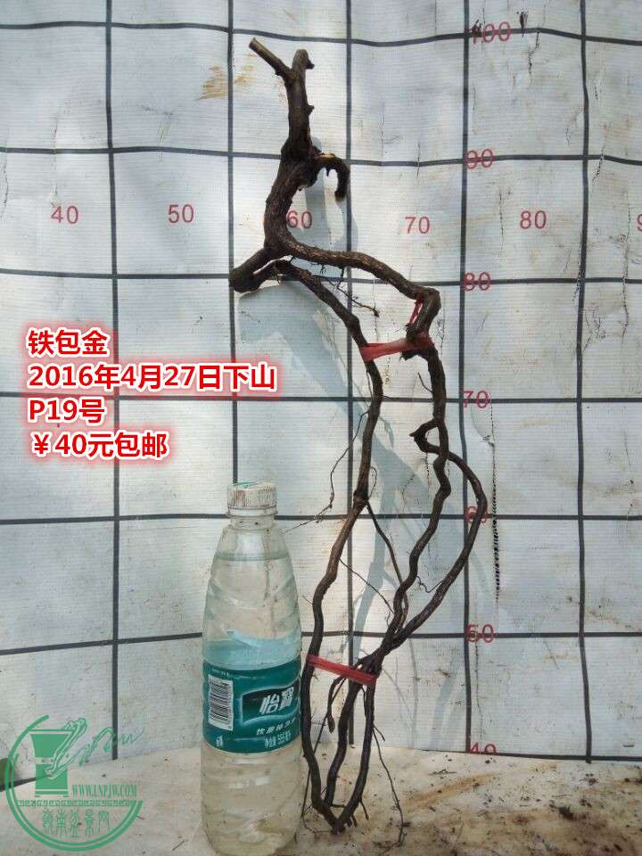 QQͼƬ20160427210432_.jpg