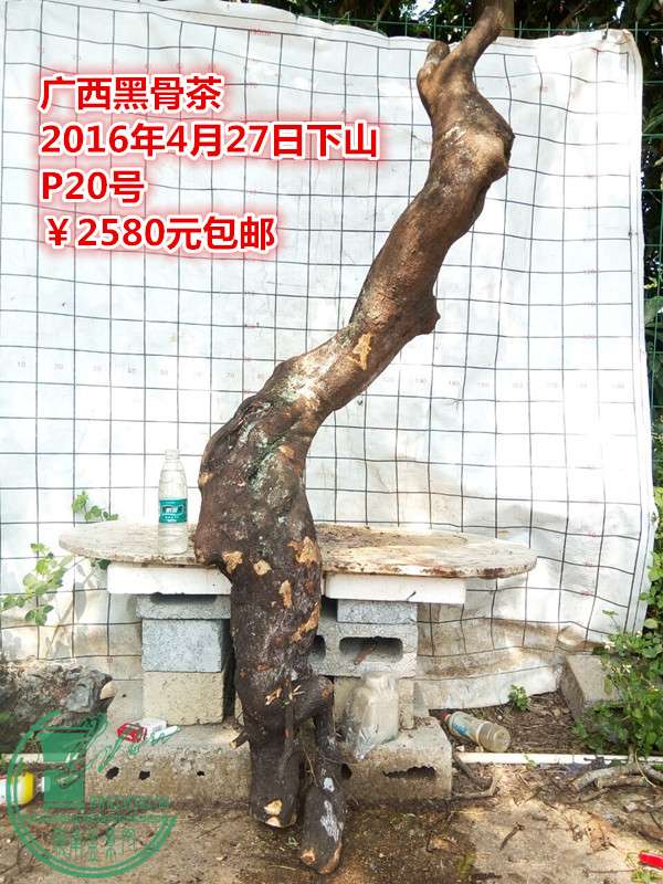 QQͼƬ20160427210435_.jpg