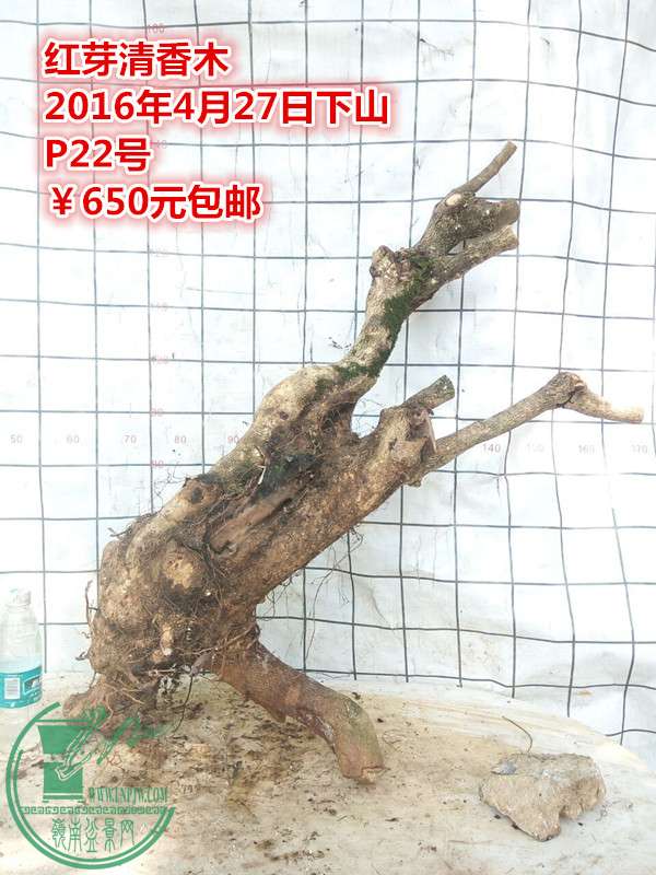 QQͼƬ20160427210718_.jpg