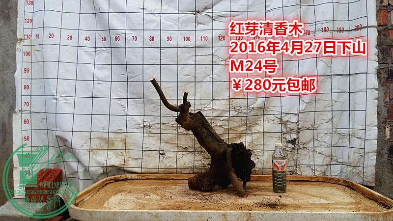 QQͼƬ20160427210931_.jpg