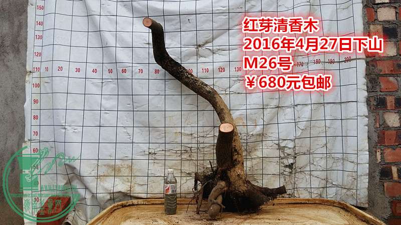 QQͼƬ20160427210947_.jpg