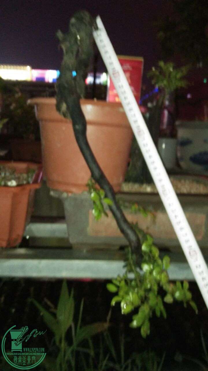 QQͼƬ20160428212833.jpg