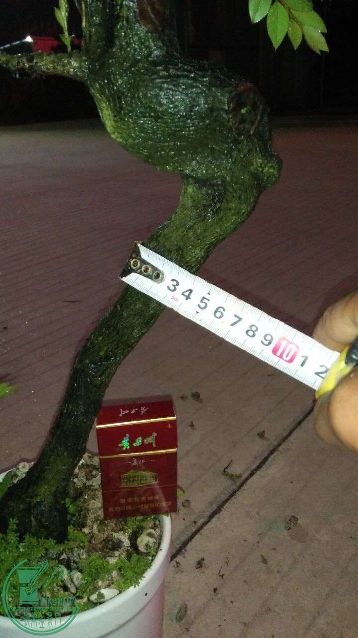 QQͼƬ20160428212821.jpg