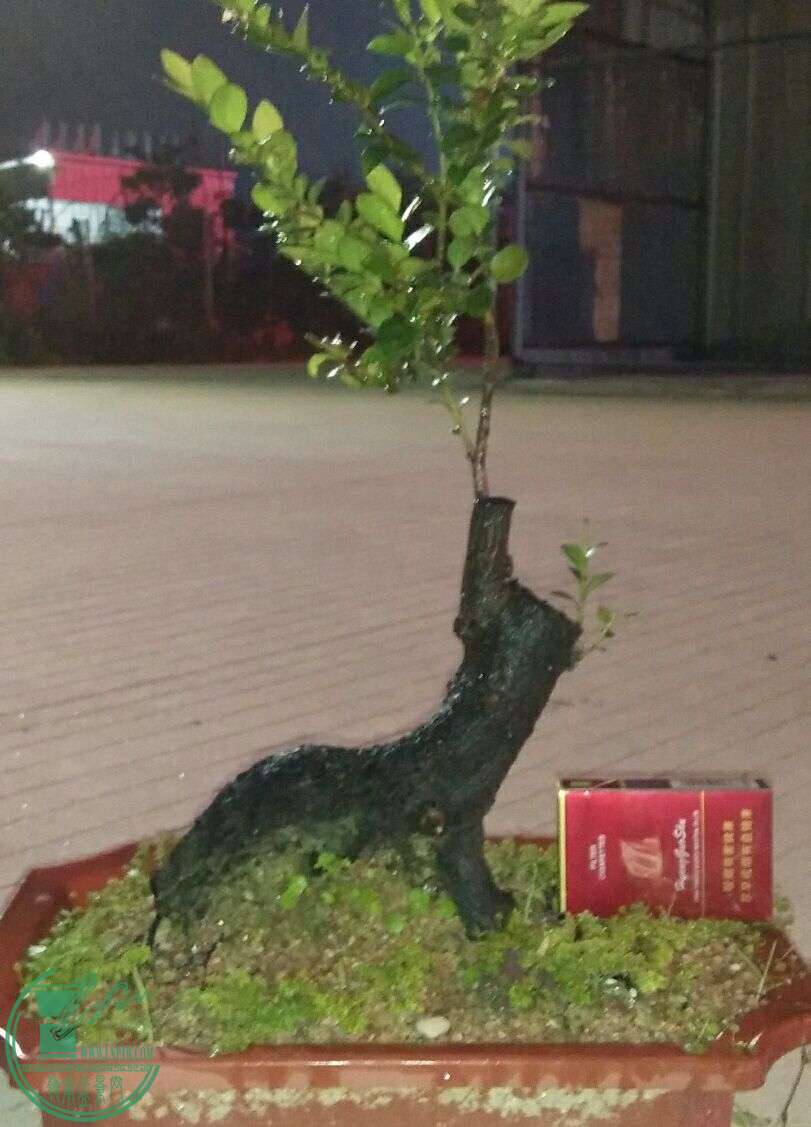 QQͼƬ20160428212813.jpg