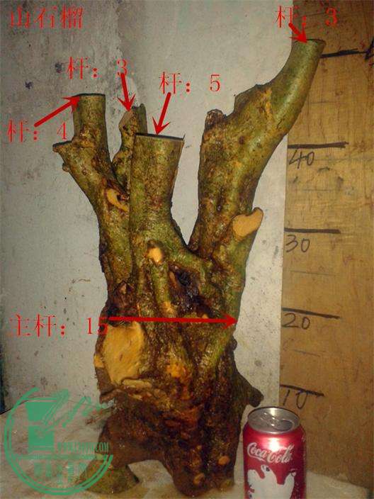 20160428_214334__.jpg