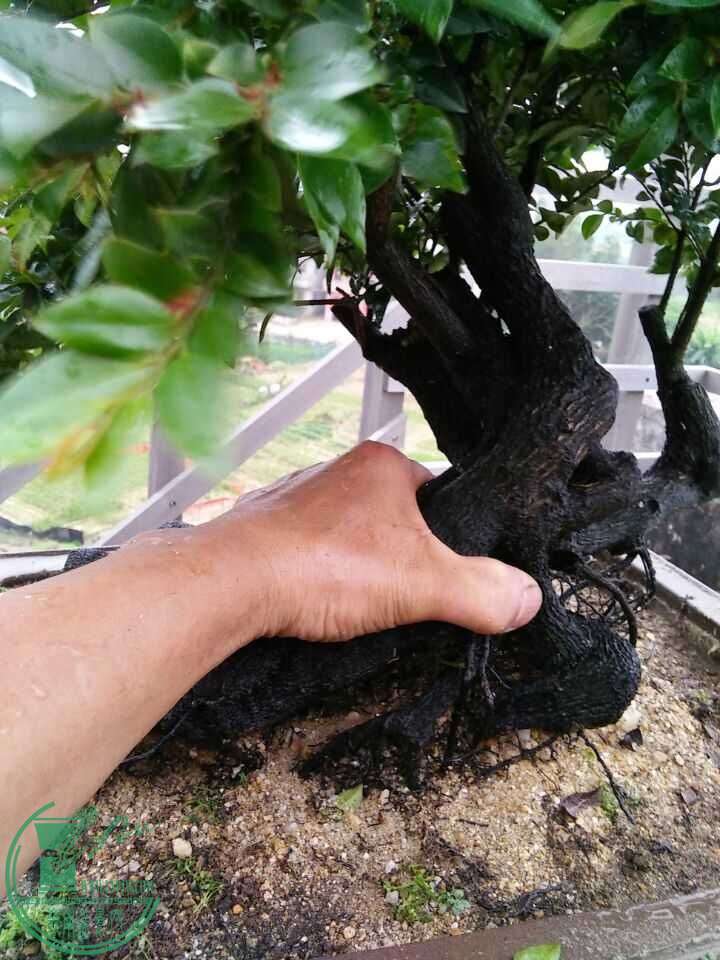 QQͼƬ20160429191329.jpg