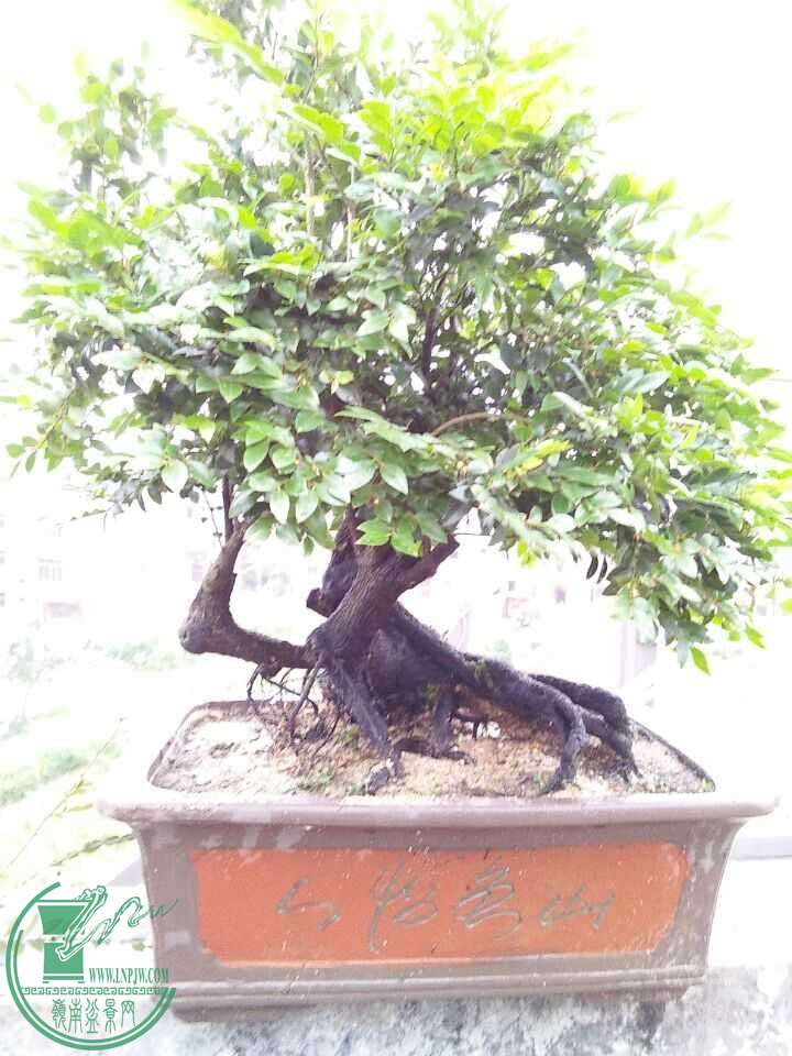 QQͼƬ20160429191425.jpg