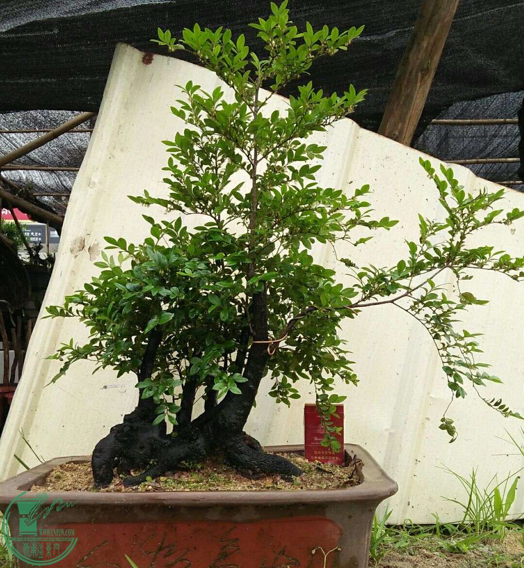 QQͼƬ20160429192525.jpg