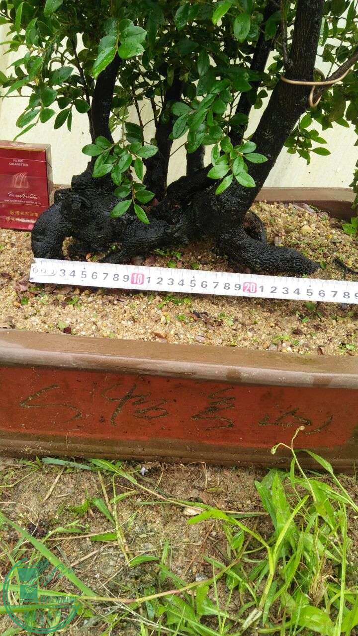 QQͼƬ20160429192634.jpg