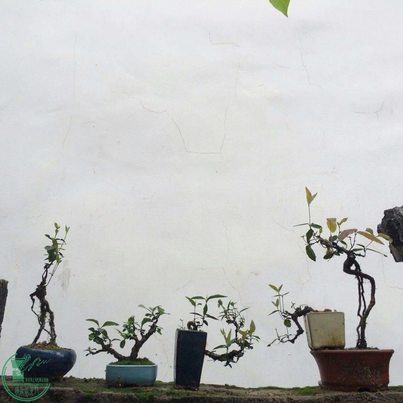 QQͼƬ20160429193442.jpg