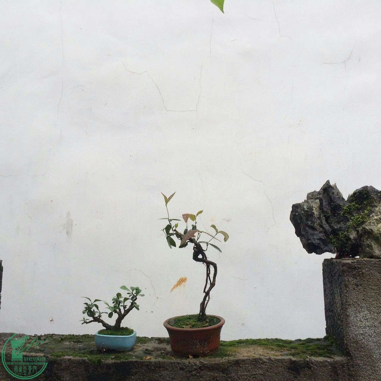 QQͼƬ20160429192542.jpg