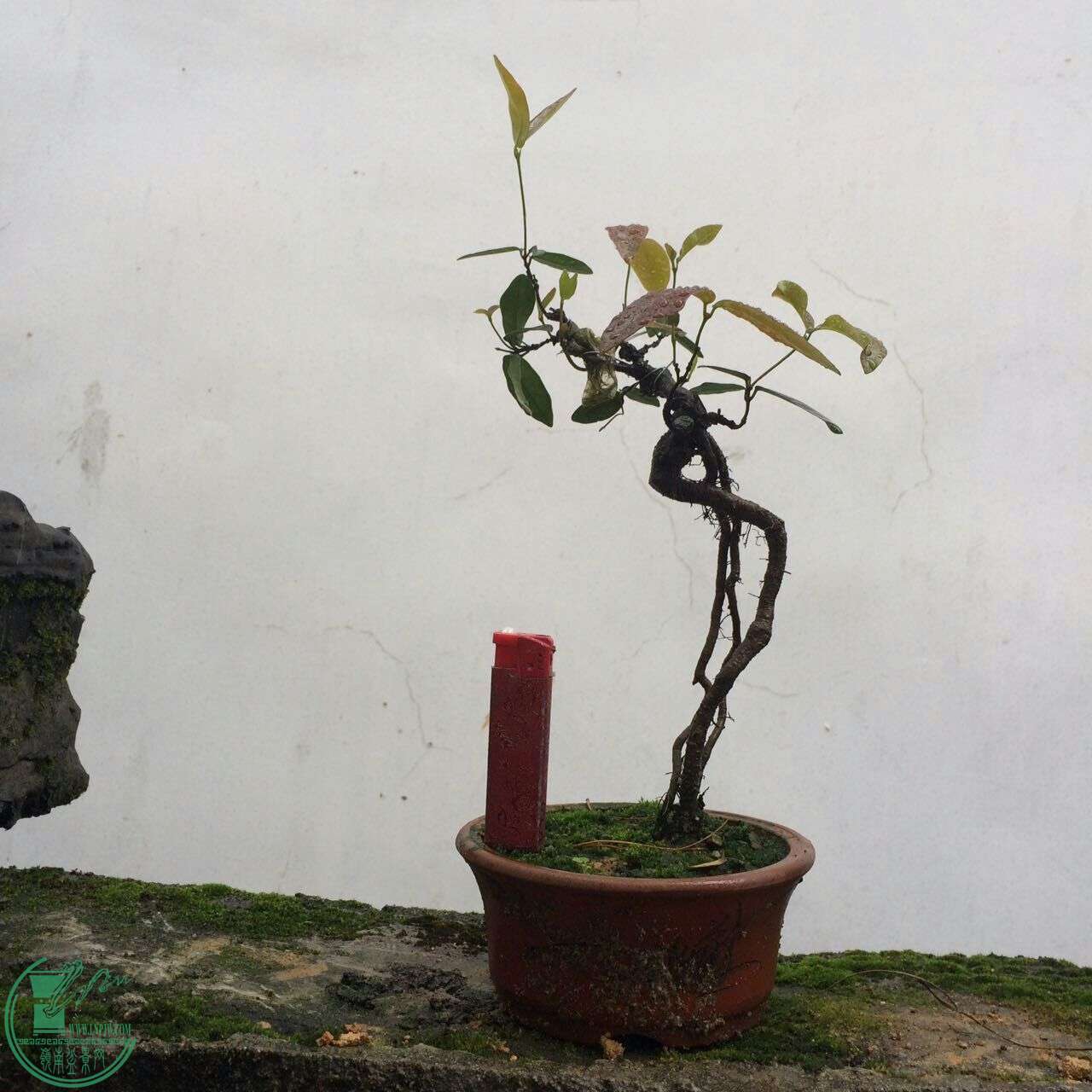 QQͼƬ20160429192823.jpg