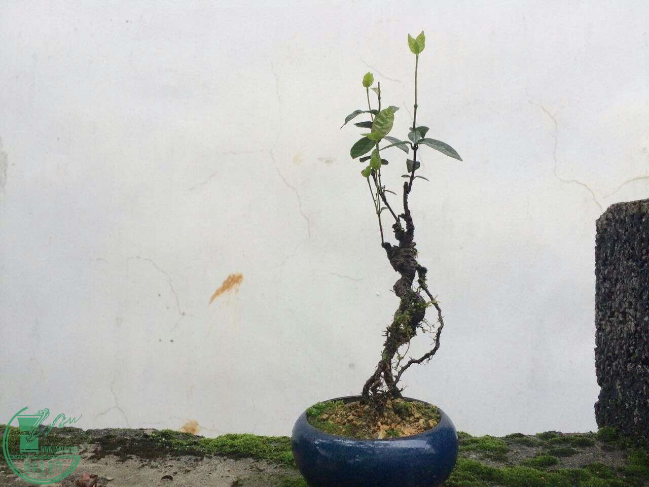 QQͼƬ20160429192658.jpg