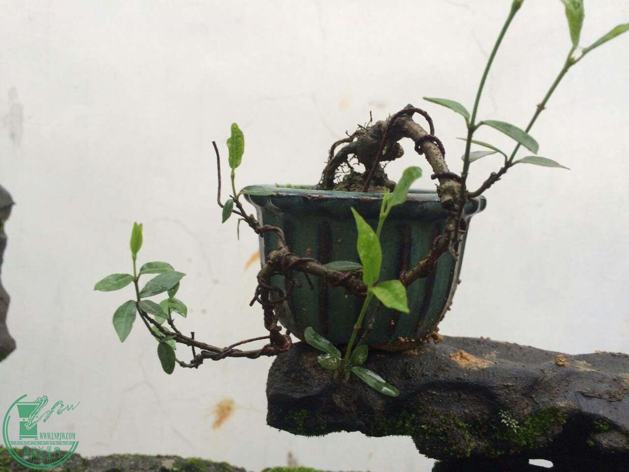 QQͼƬ20160429192640.jpg