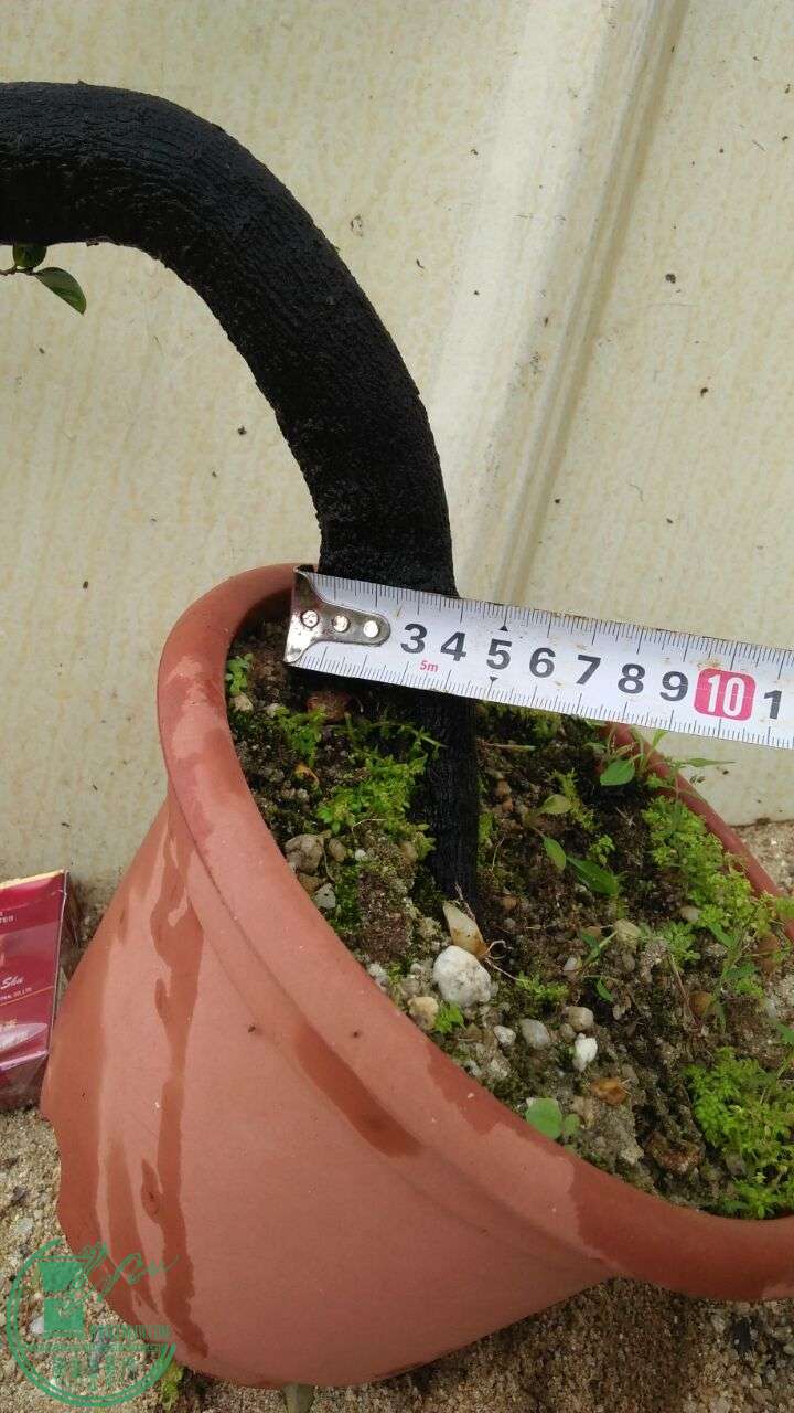 QQͼƬ20160429192534.jpg