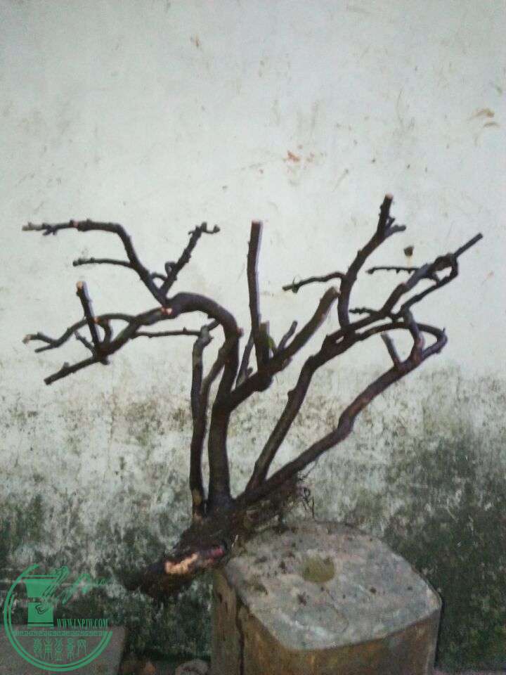 QQͼƬ20160429202458.jpg