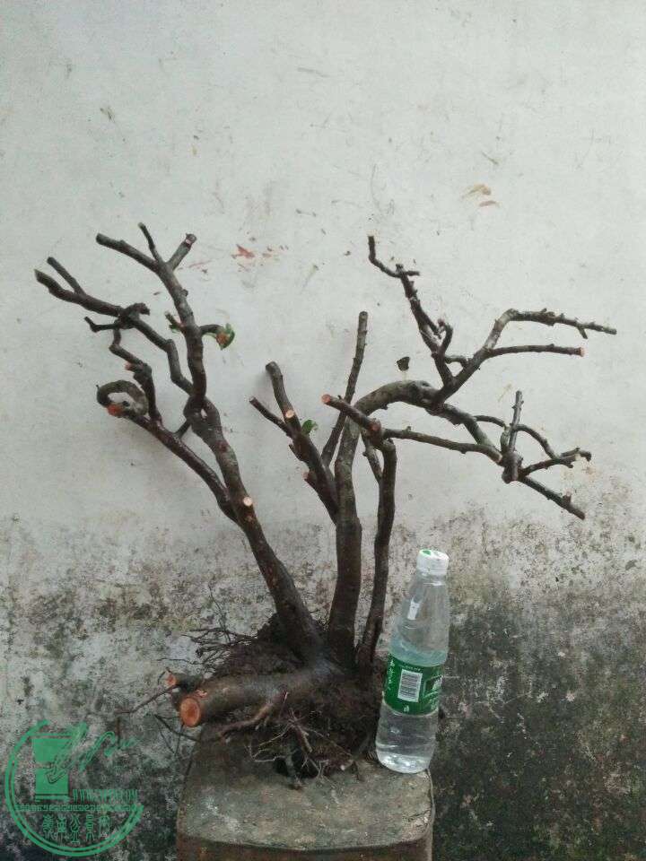 QQͼƬ20160429202353.jpg