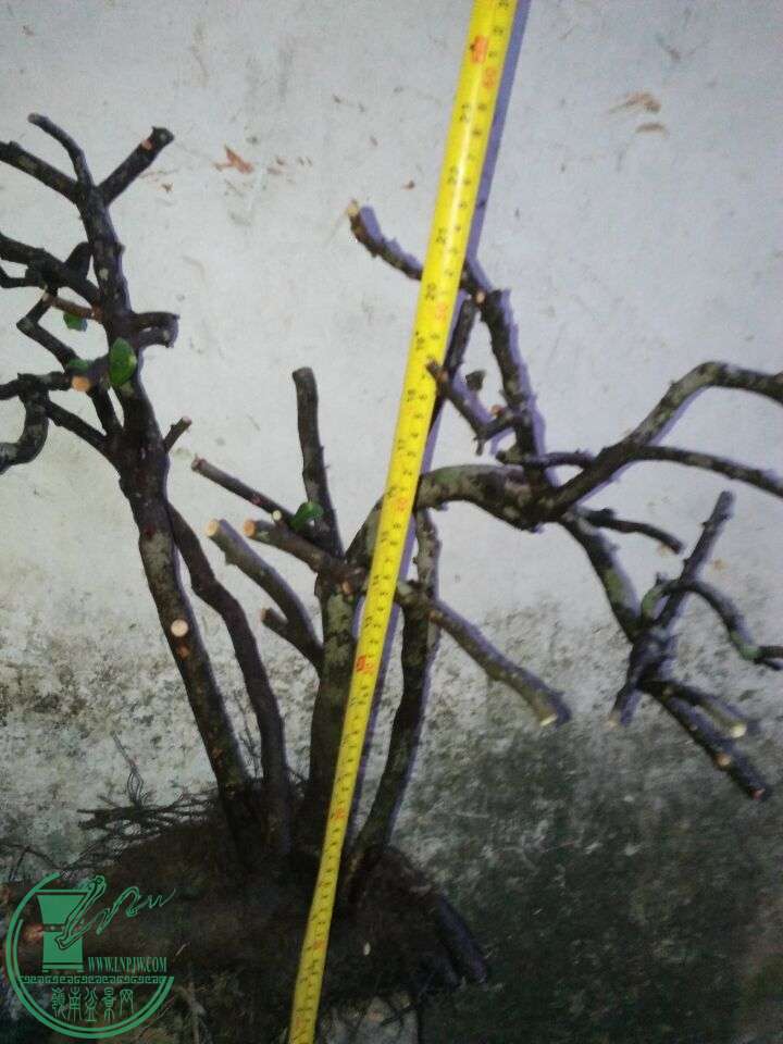QQͼƬ20160429202431.jpg