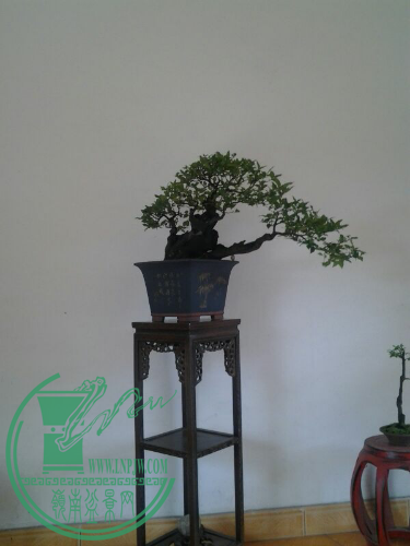 UC_Photo_028.jpg