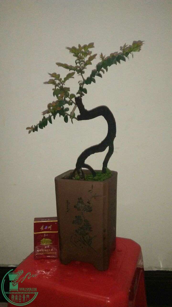 QQͼƬ20160430195138.jpg