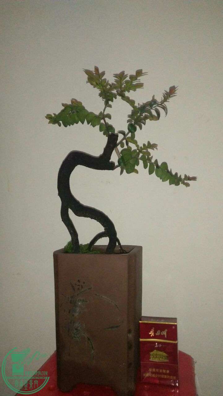 QQͼƬ20160430195132.jpg