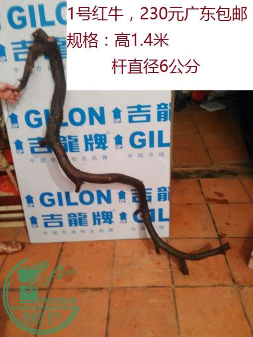 QQͼƬ20160430210236.jpg