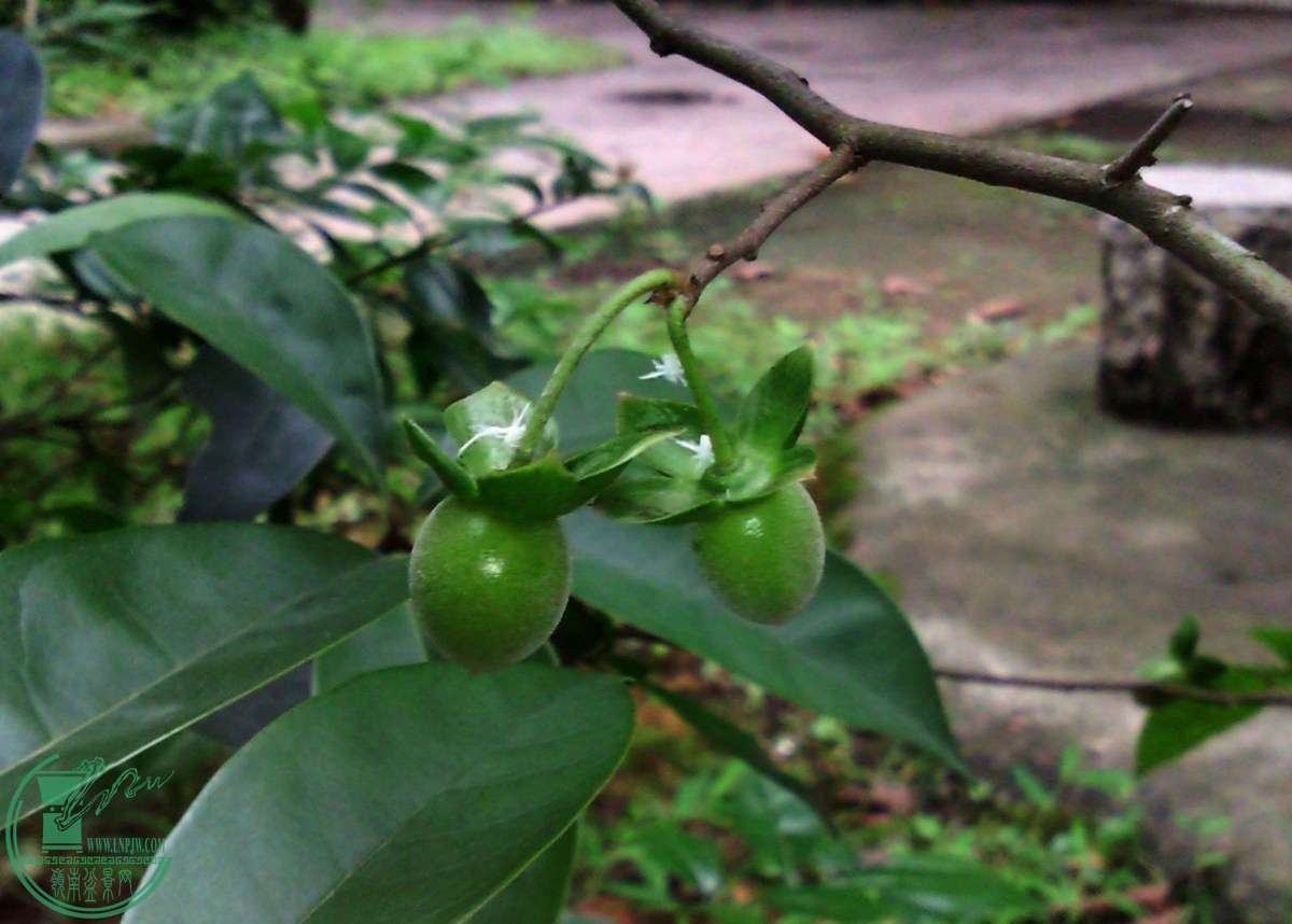SNC05468.jpg