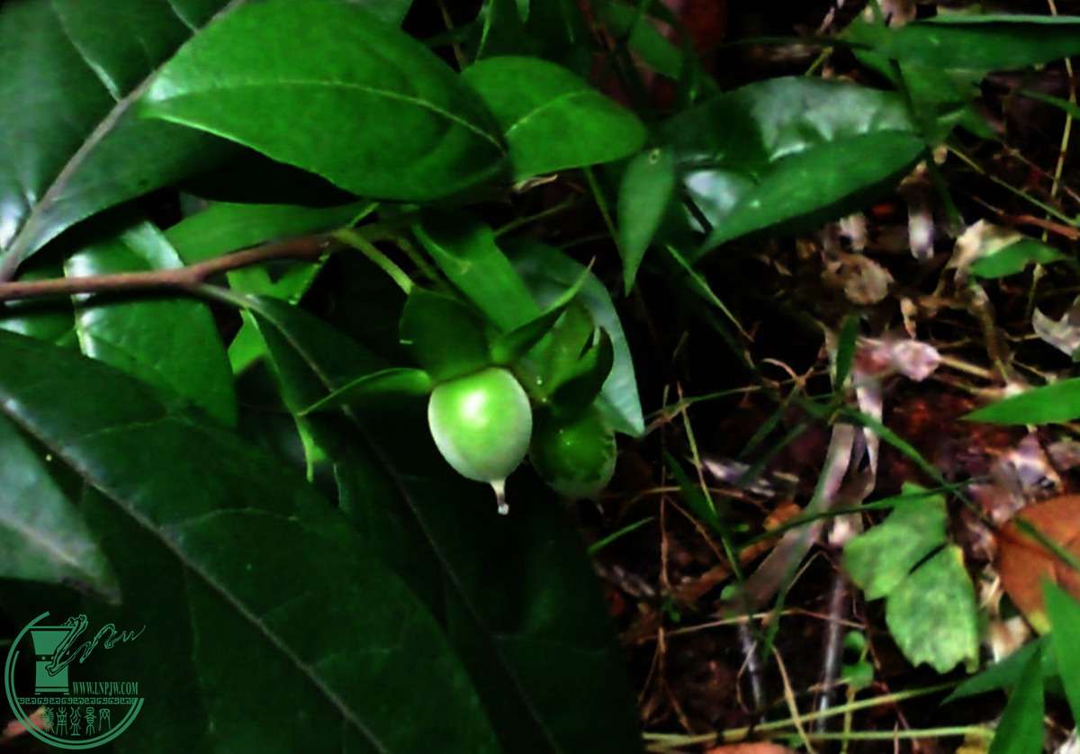 SNC05473.jpg