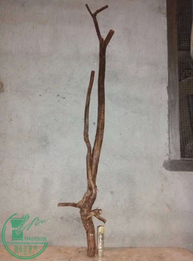 psb[10].jpg
