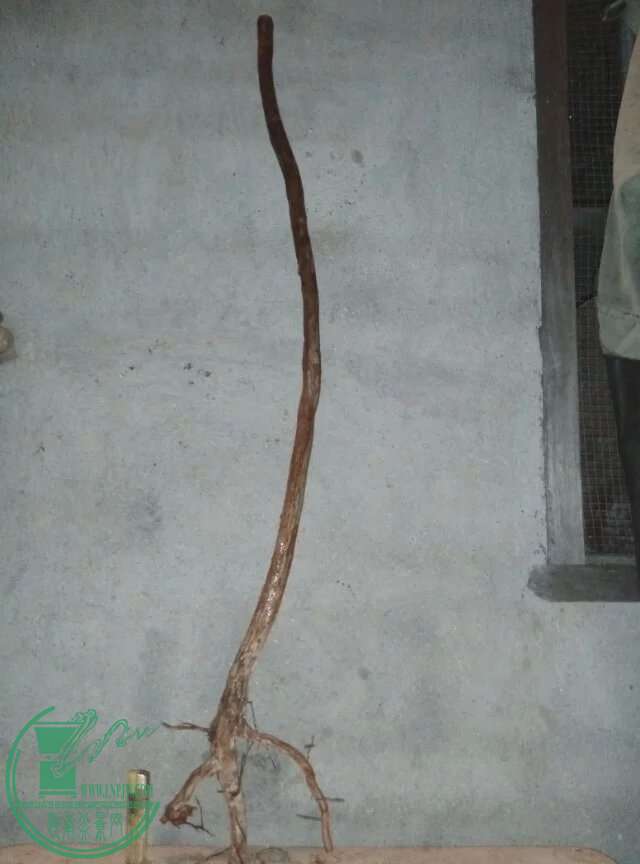 psbTNBGLFQN.jpg